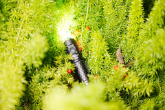 Cyansky P20R Portable Outdoor Flashlight 1900 Lumens